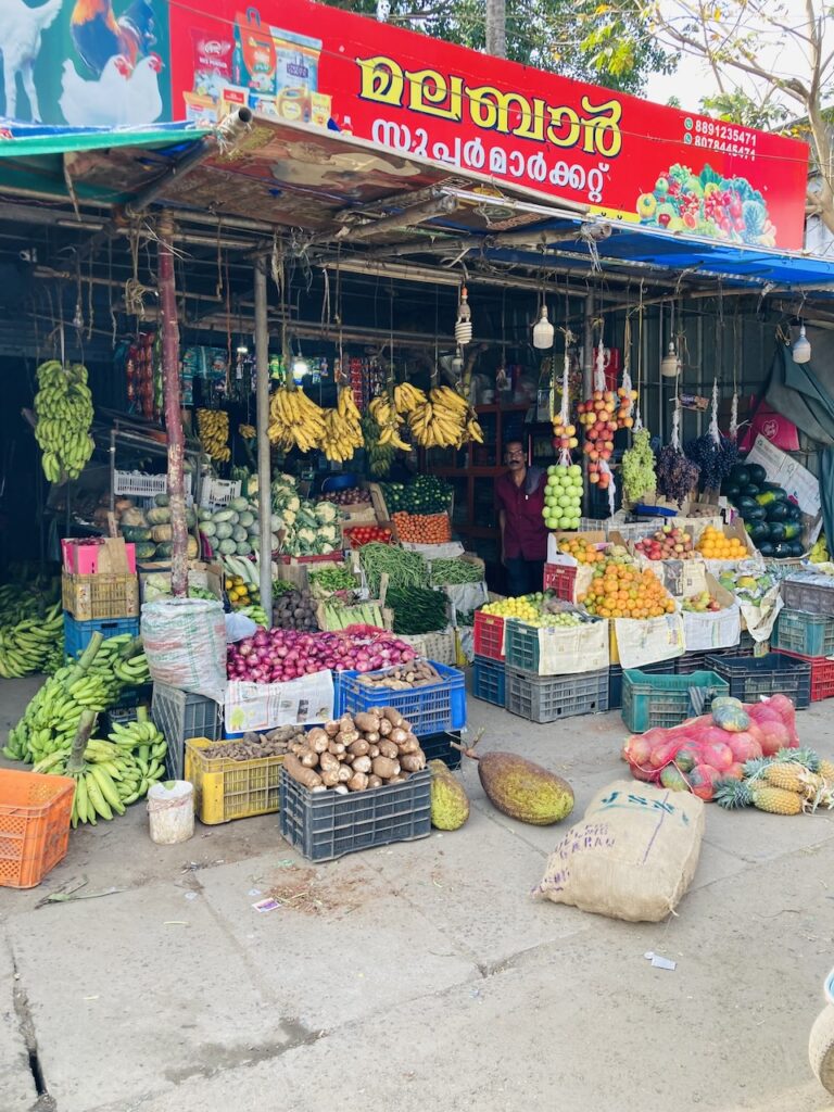 Südindien22_Obstmarkt_Yogareise