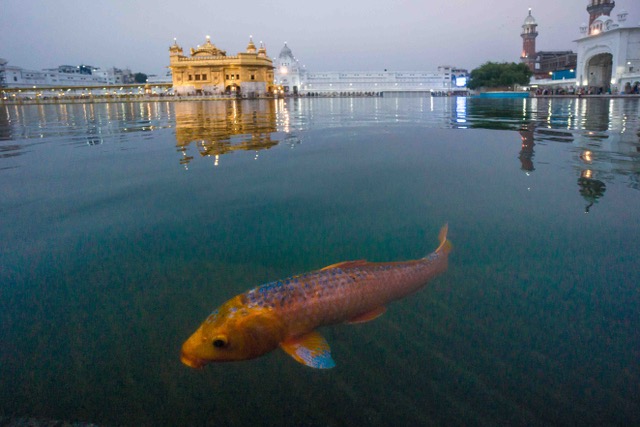 Nordindien2016-06177